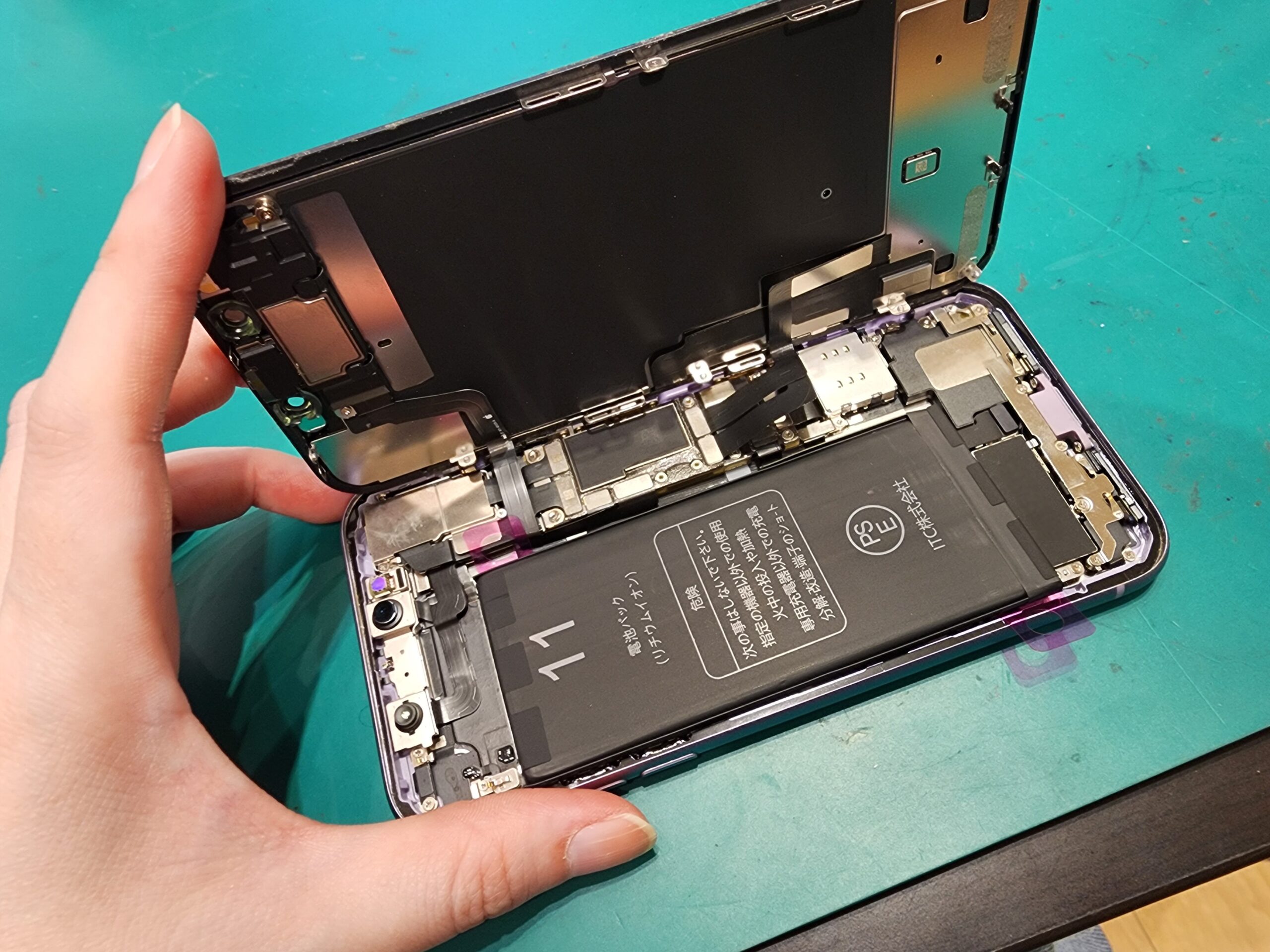 【札幌苗穂店】iPhone 11バッテリー交換【白石区からご来店】