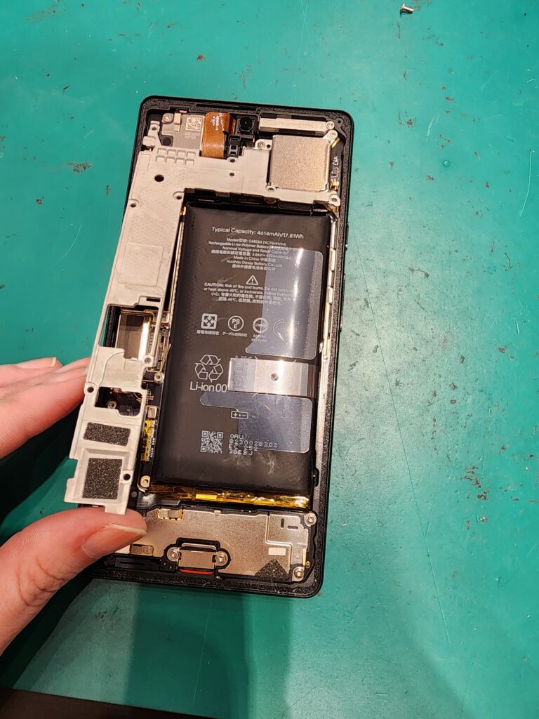 シルバープレートを外してたGooglePixel6