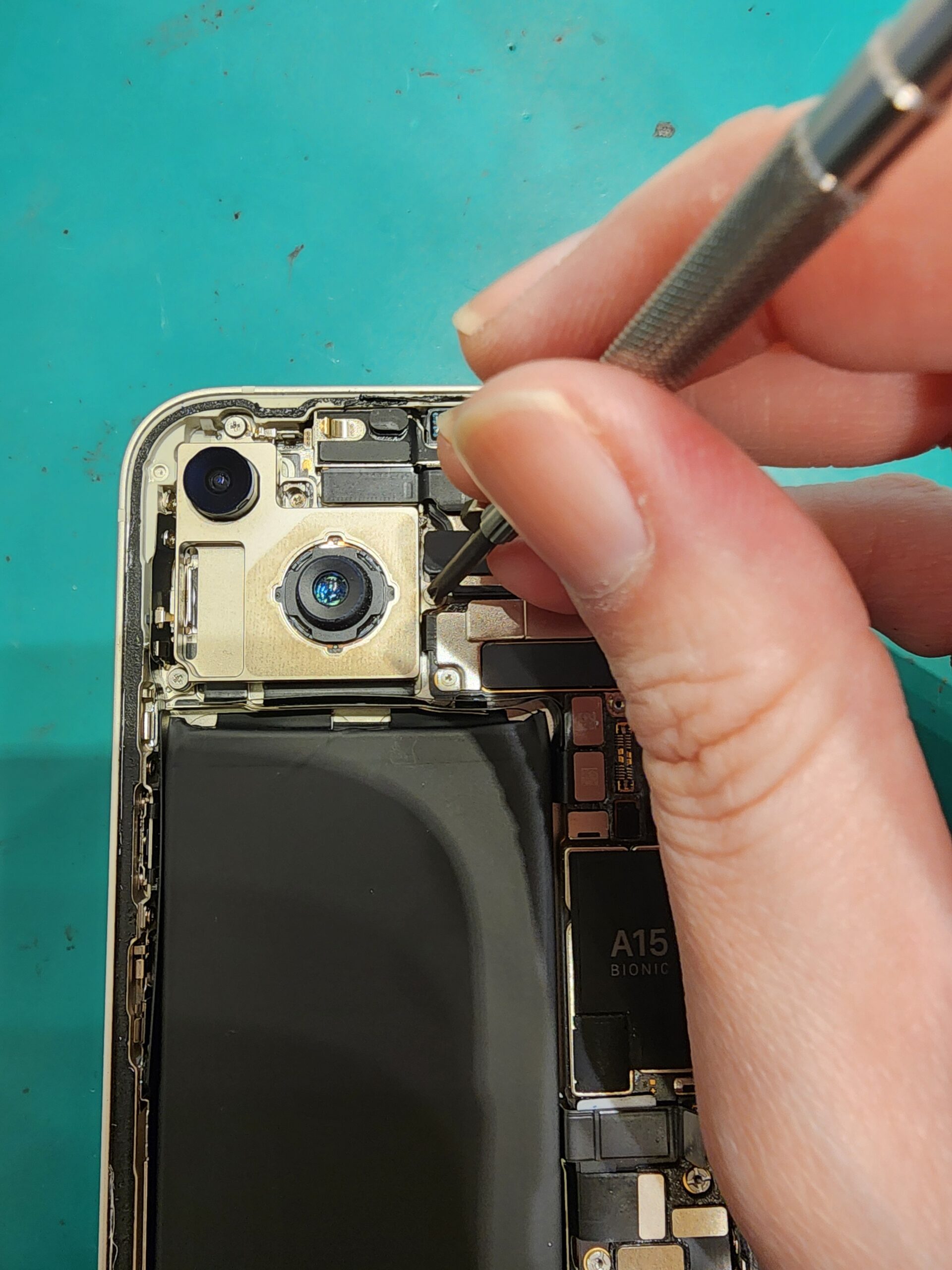 【札幌苗穂店】iPhone14アウトカメラ交換【南区からご来店】