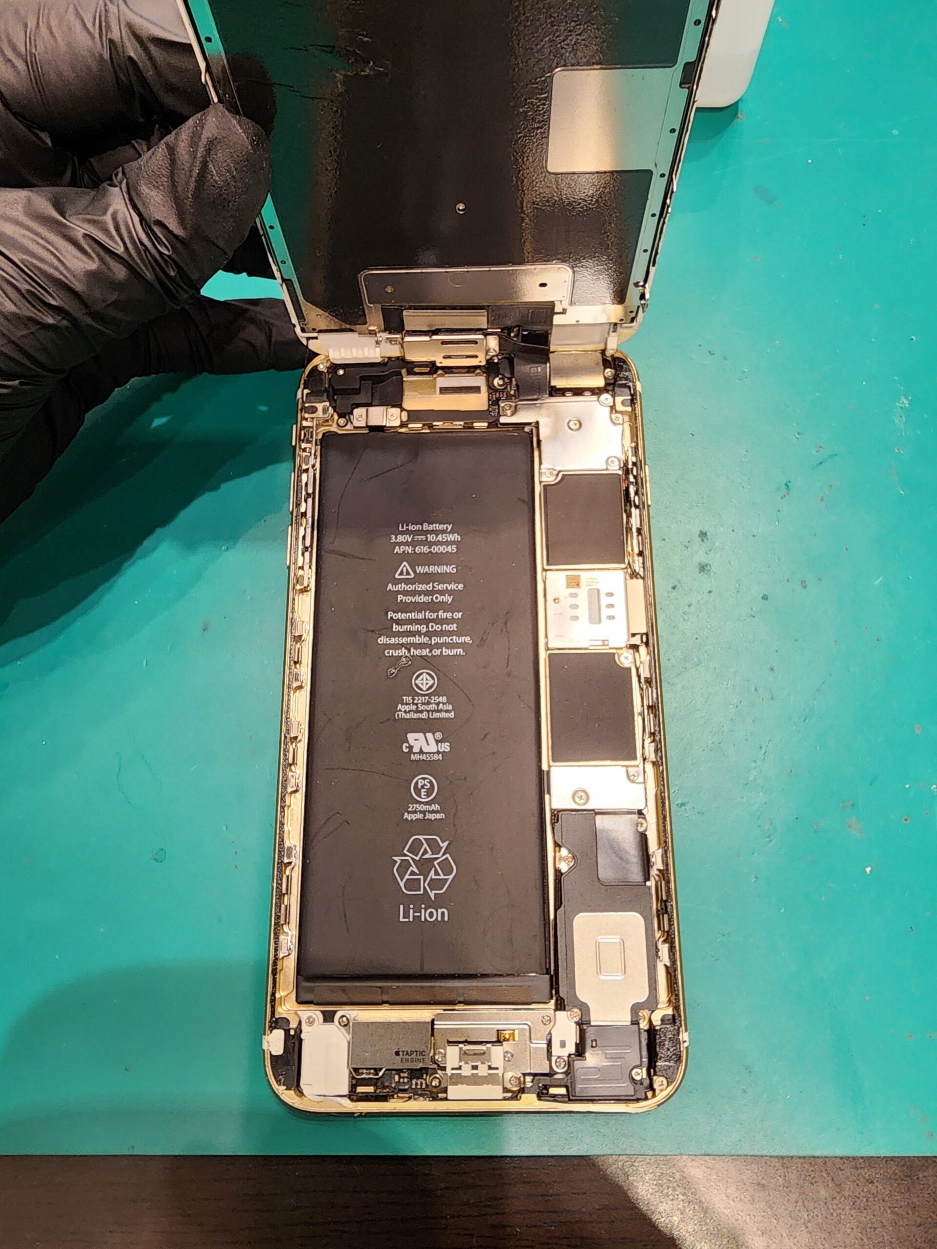 【札幌苗穂店】iPhone 6S Plusバッテリー交換【白石区からご来店】